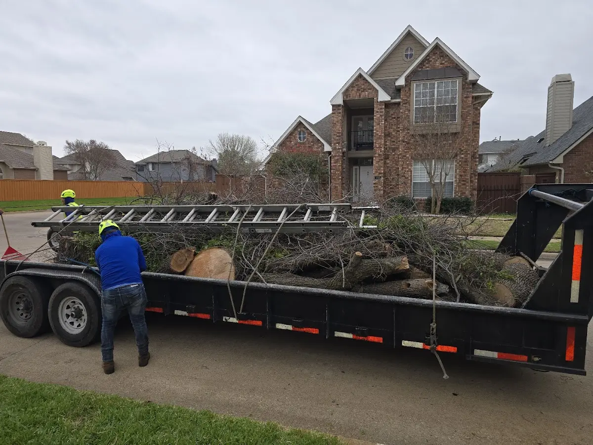 Expert Lot Clearing with proper safety equipment in Andreas